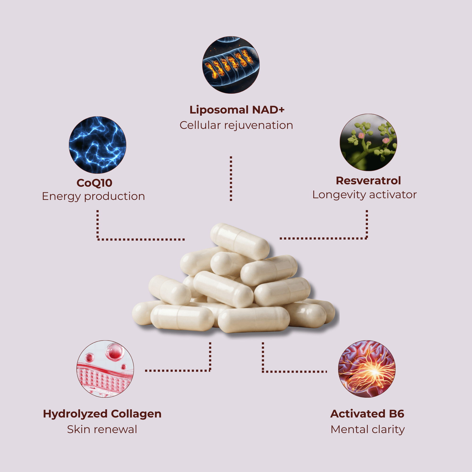 Snixxi. Liposomal NAD+