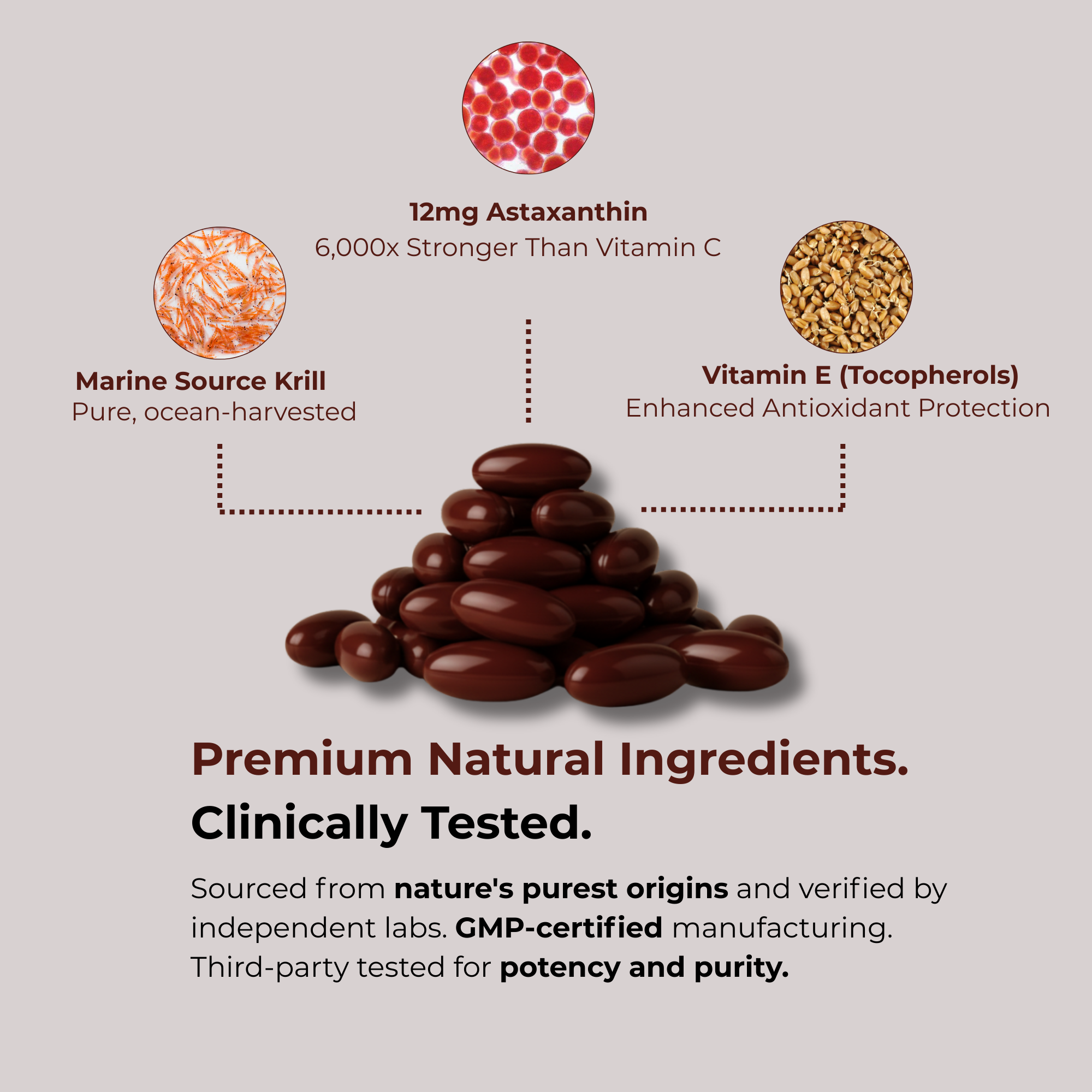 Snixxi. Astaxanthin Capsules (12mg)